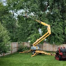 Artificial Turf Installation in West Palm Beach, FL